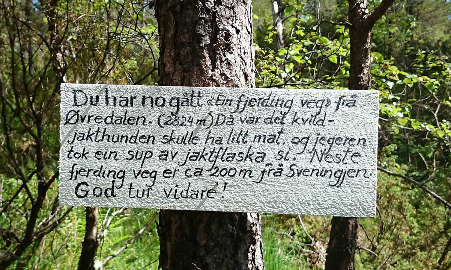 Ei av dei mange oppmuntringane frå Vildmarkens søn på veg opp til Svinningen (foto: Andris Hamre)