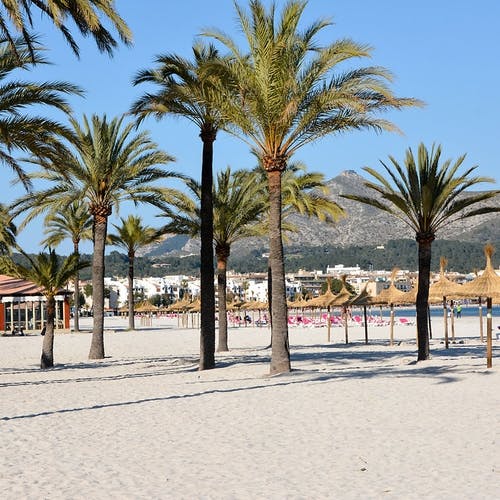 ... og den lange stranda i Alcudia. (Foto: Camp Mallorca, A.K. Berge)