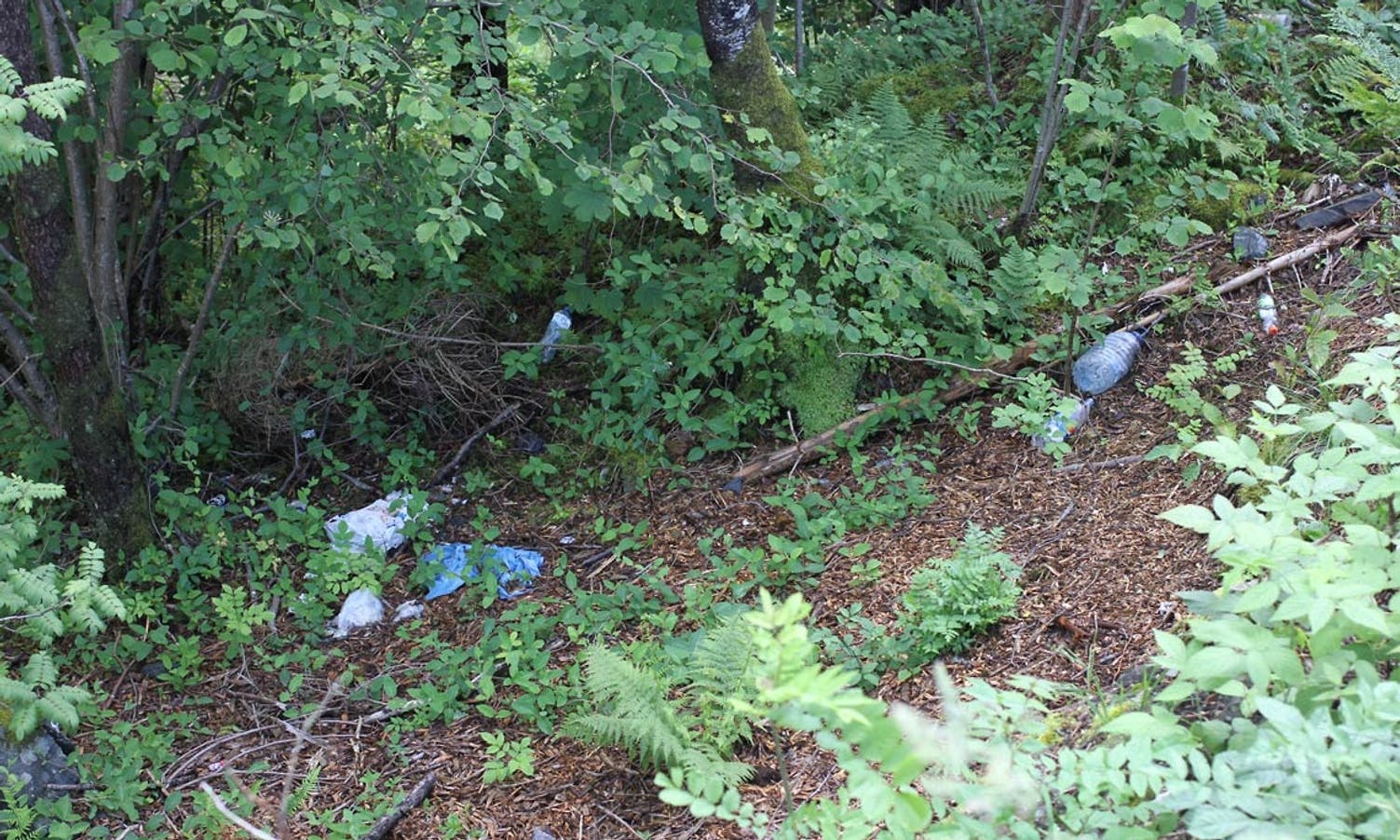 Litt plastsøppel ligg ved Kontrollsona på Søfteland også (foto: AH)