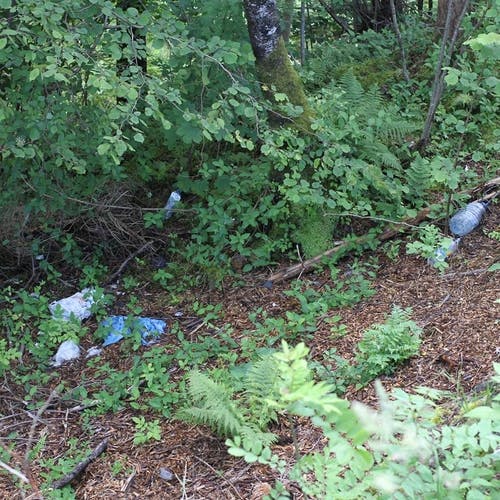Litt plastsøppel ligg ved Kontrollsona på Søfteland også (foto: AH)