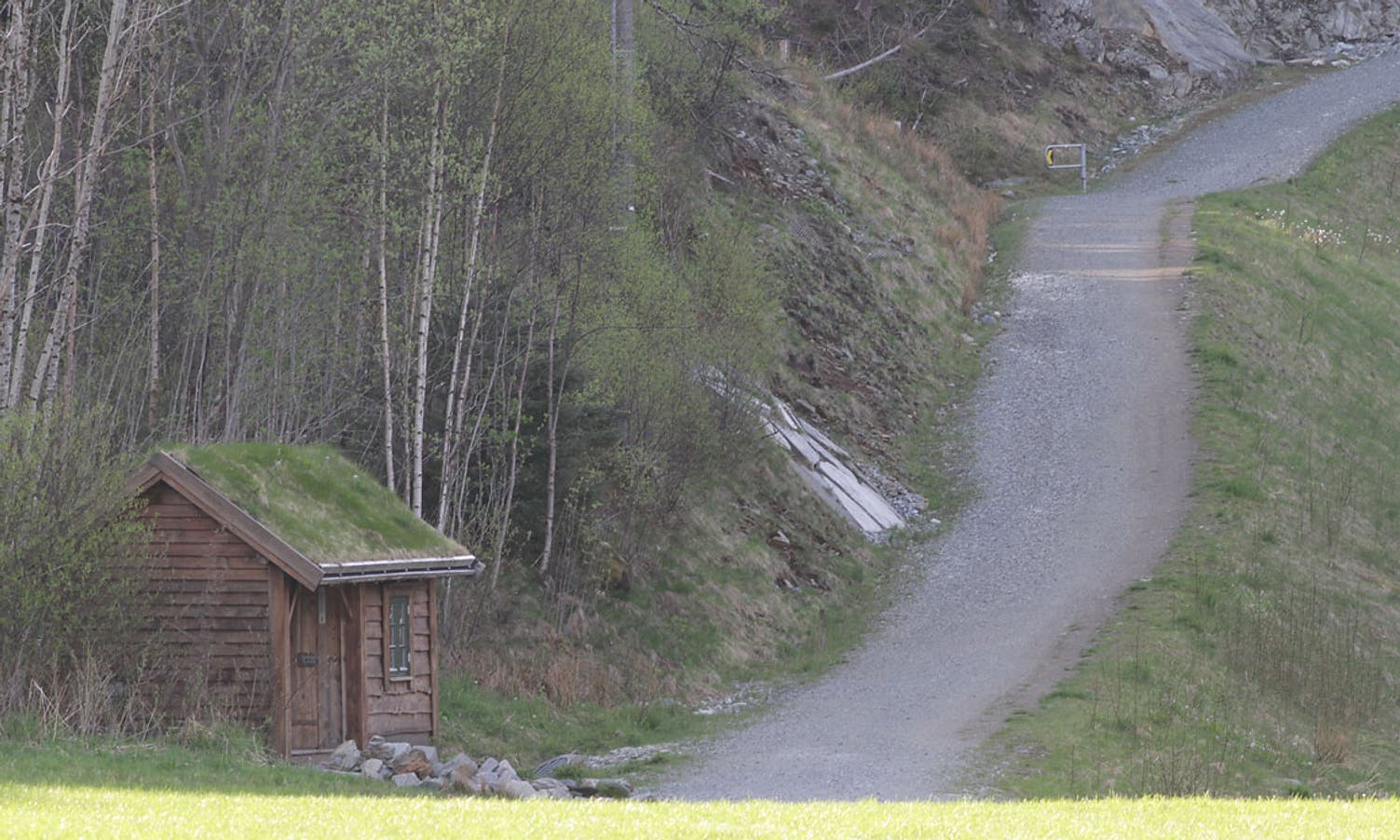 Politiet reknar med at sakna har gått denne stien frå Nordmarka til Tøsdal. (Foto: KVB)