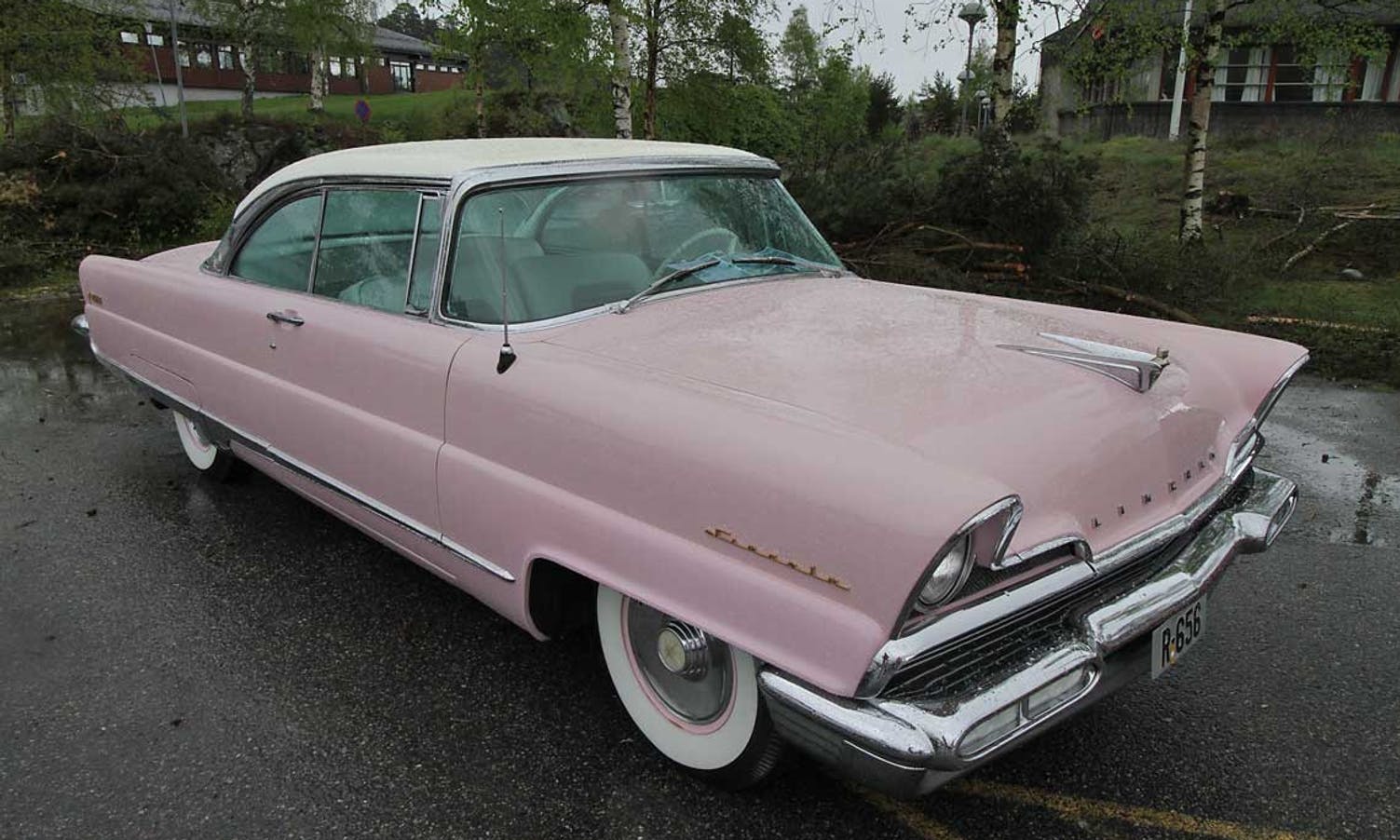 Denne er rosa, men ikkje ein Cadillac. (Foto: KVB)