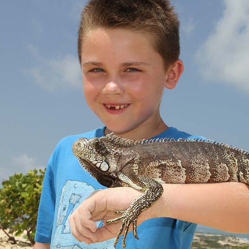 Framleis glad i dyr: 2. juledag fekk Nicholas halda denne iguanaen. (Foto: KVB)