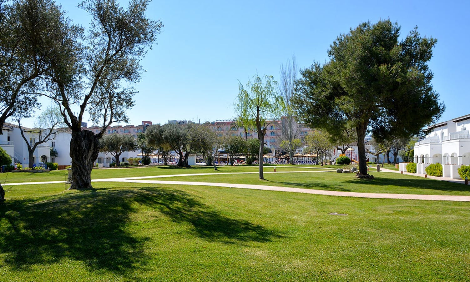 Dei har også parkar å trena i. (Foto: Camp Mallorca, A.K. Berge)