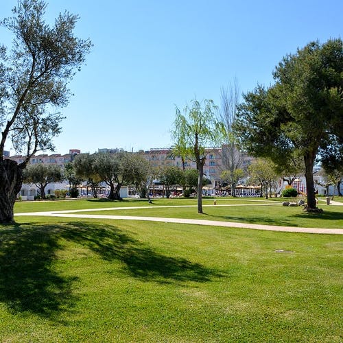 Dei har også parkar å trena i. (Foto: Camp Mallorca, A.K. Berge)