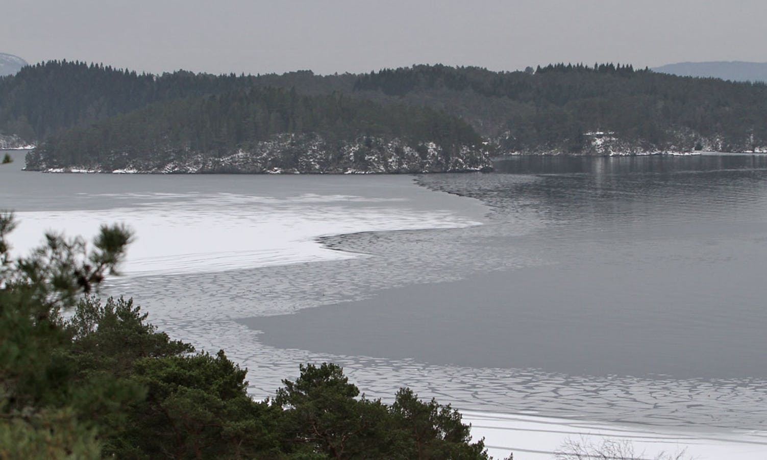 Isen har vore minst 10 cm tjukk i Skeisosen. (Foto: KVB)