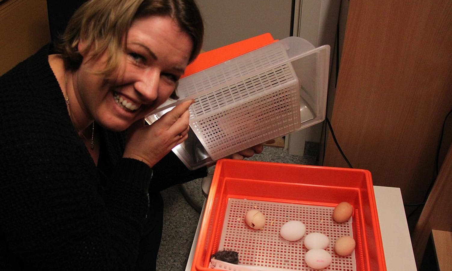 Karina Lekven viser stolt fram den første kyllingen. (Foto: KML)