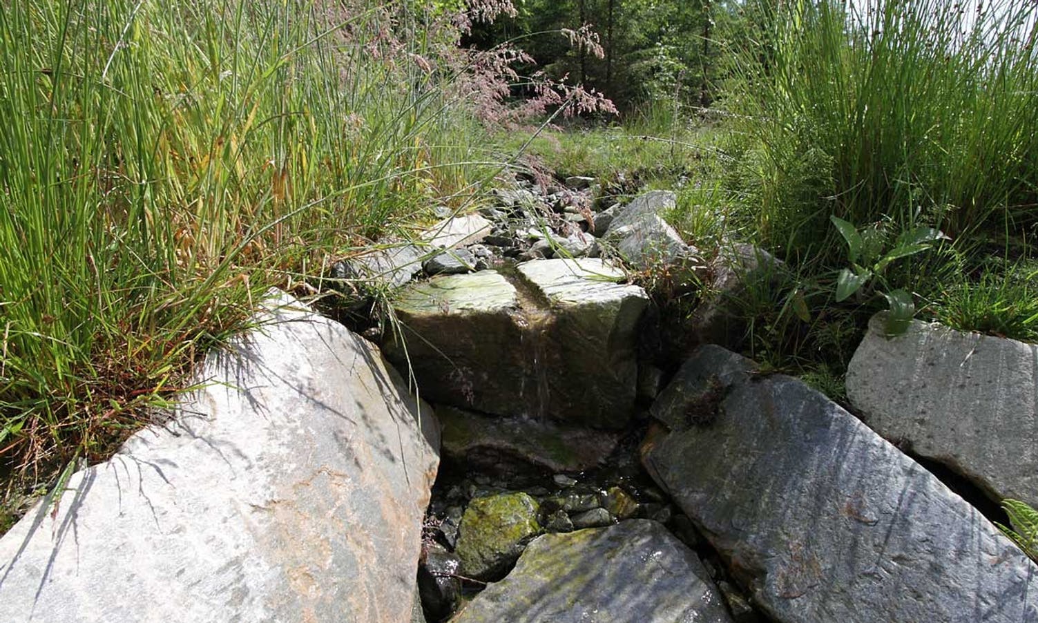 Ein stein med borehol er brukt som fin renne for ein av bekkane. (Foto: KVB)