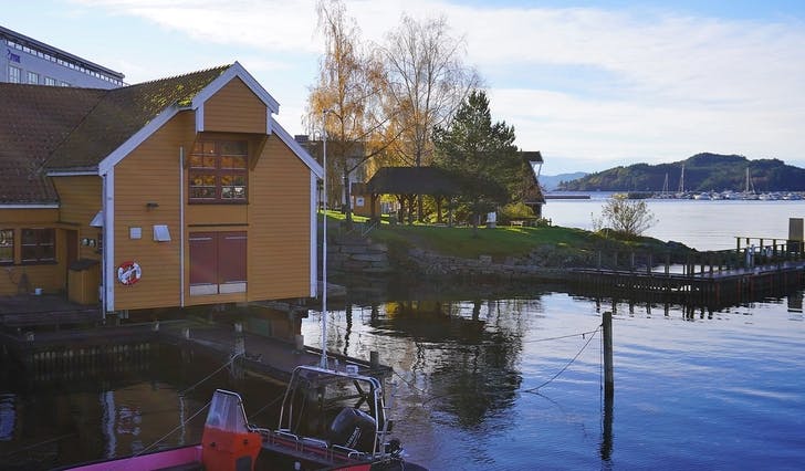 Kan oselvarmiljøet i Hamnevegen utviklast til noko større? (Foto: Kjetil Vasby Bruarøy)