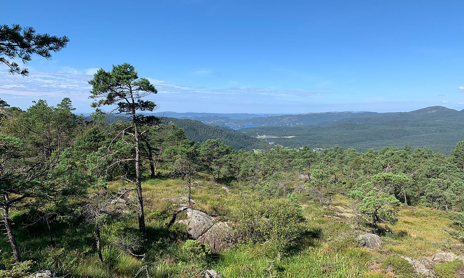 Framtidig utsikt frå dagstyrhytta på Borgafjellet, mot Endalausmarka og Lysefjorden. (Foto: Bjørnafjorden kommune)