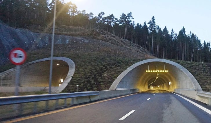 Entreen på Lyshorntunnelen retning Bergen, frå Endelausmarka. (Foto: Nora Flatseth Trippestad)