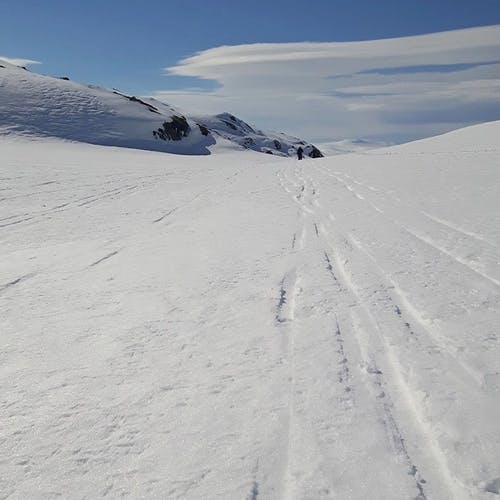 Skitur på Hardangervidda. (Foto: Jorunn Aase Hagen)