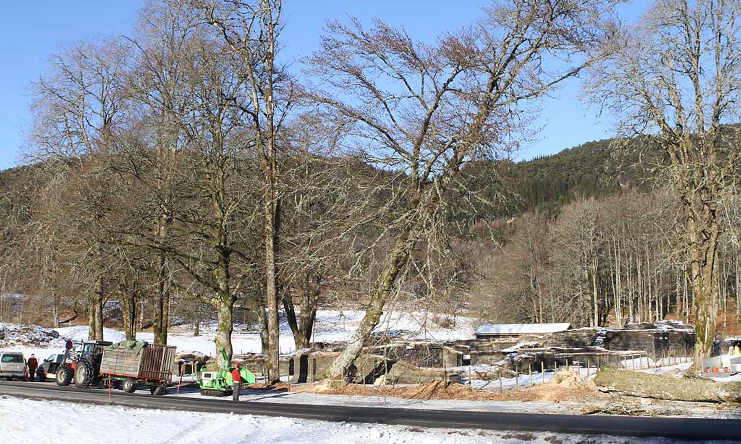 11. februar i fjor gjekk almen ved Lyse kloster i bakken. (Foto: Kjetil Vasby Bruarøy)