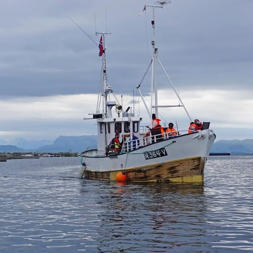 I Os hamn etter nokre timar på fiske utanfor Sandholmane. (Foto: Kjetil Vasby Bruarøy)