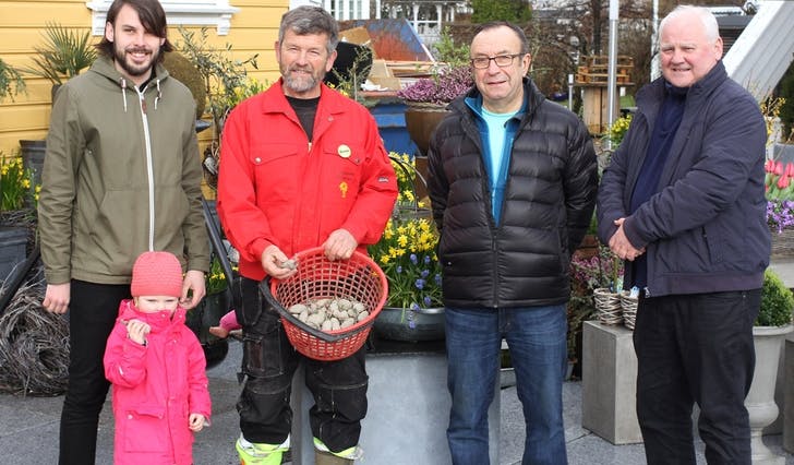 Os sentrumsforening og Os bondelag skal saman dyrka poteter og kål på Osøyro for å feira bondelaget sitt 150 års jubileum (foto: Andris Hamre)