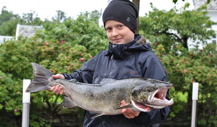 Jørgen med sin første fangst i Oselvo, ein laks på 5,0 kilo tatt med spinner i sone 3 måndag formiddag. (Foto: Kjetil Vasby Bruarøy)