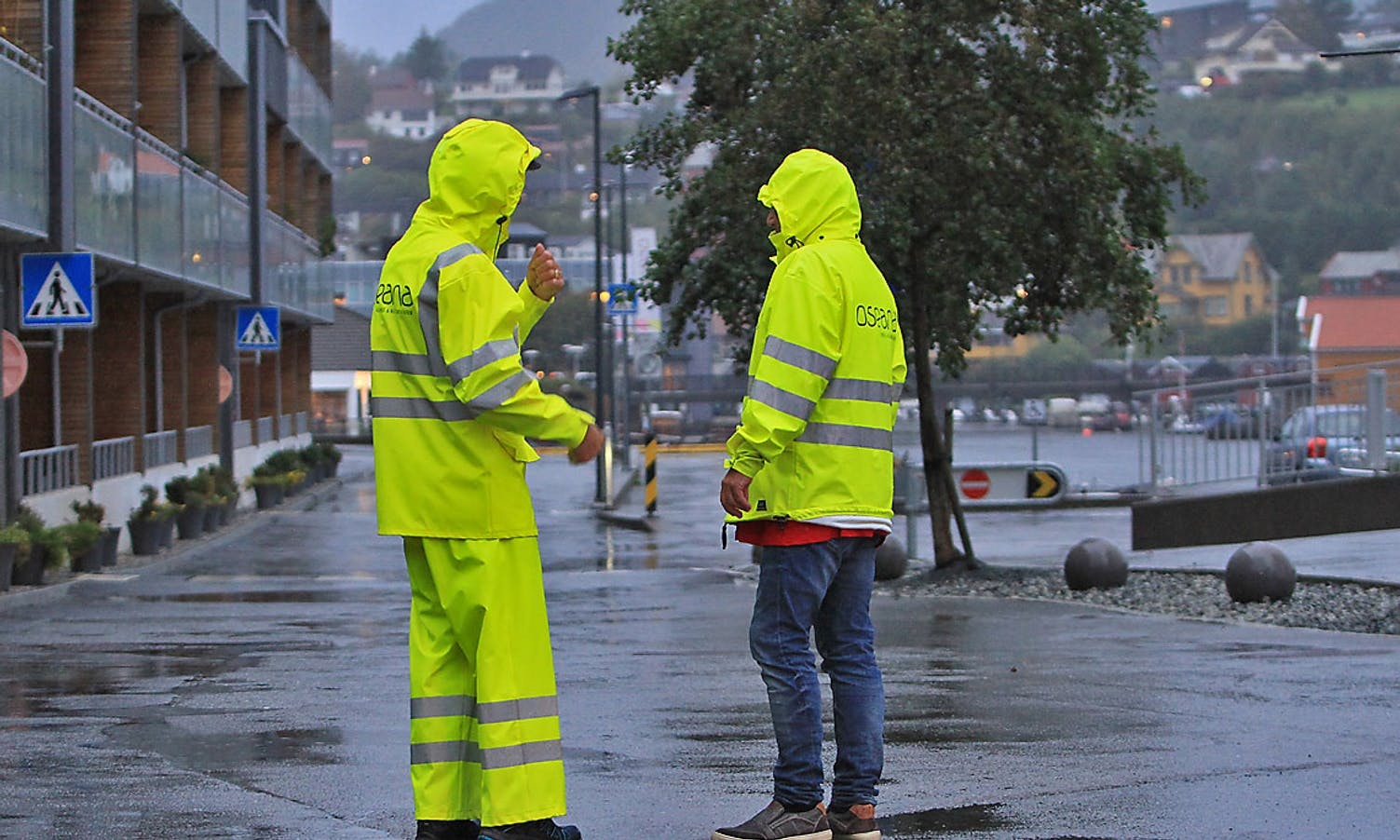 Oseana sine frivillige jobbar uansett vêr. (Foto: KOG)