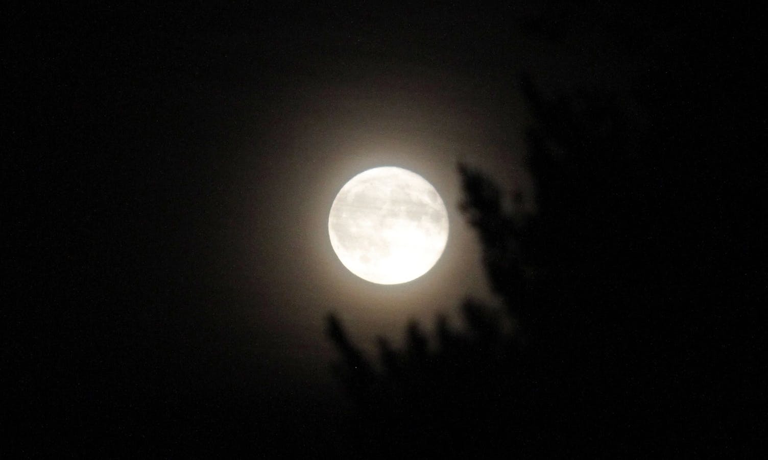 Månen i 01-tida. Delvis formørking var synleg nokre timar seinare. (Foto: Kjetil Vasby Bruarøy)