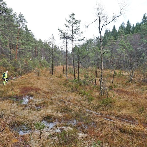 Her skal Statens vegvesen inn med geo-radar for å finna ut kvar vegen er. (Foto: KOG)