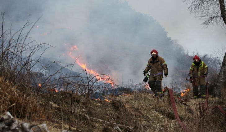Brannvesenet rykte ut med 13 mann og fekk kontroll på grasbrannen før det blei skogbrann av det. (Foto: Varde Film og Media)