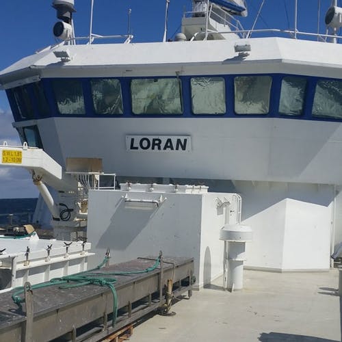 Osingane Freddy Nordvik og Joakim Thuen jobbar på garn- og linebåten Loran.