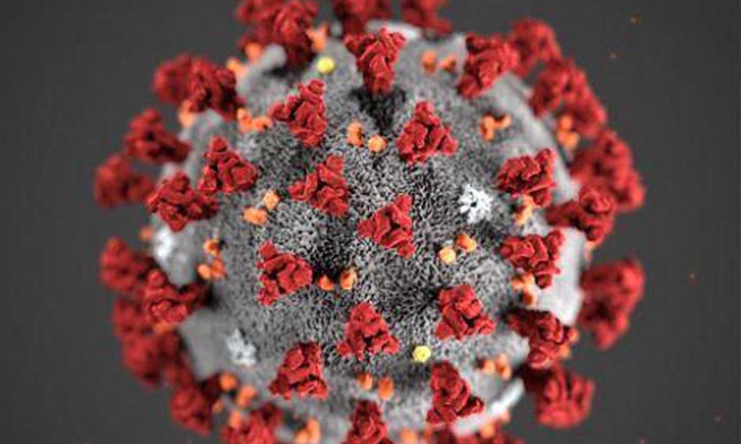 Kor smittsamt er koronaviruset? Kor tid kan vi bli kvitt det?