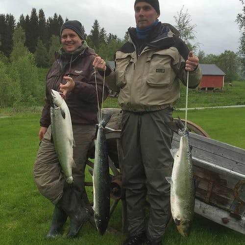 Ove og Tor Åge Thuen med kvar sine fiskar. (Privat foto)