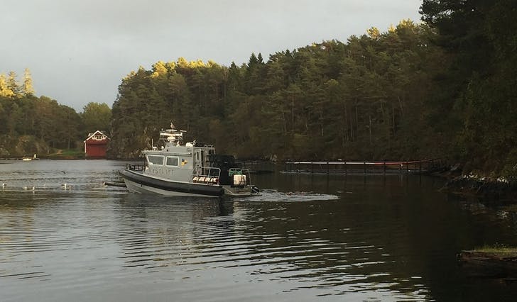 KV Njord sin rib fann fleire som tjuvstarta på hummarfisket, her på Toreidpollen, mellom Røtinga og Brattholmen. (Foto: Kari Marie A. Lyssand)