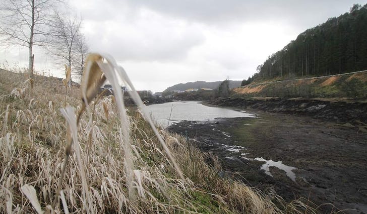 Etter tre veker med tapping er det nesten berre ein dam igjen av Svegatjørn. (Foto: Kjetil Vasby Bruarøy)