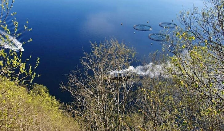Røyk frå brannen i midten av bildet, fleire røykdykkarar på veg i båten til venstre. (Foto: Bjørnafjorden brann og redning)