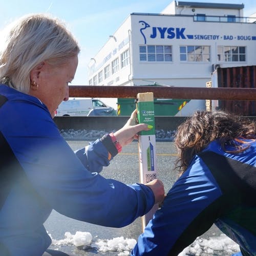 STRAKS I GANG: Anita Sævarein og Aisa Skår fra Os Orienteringsklubb monterer en av de siste stolpene (Foto: Nora Flatseth Trippestad). 