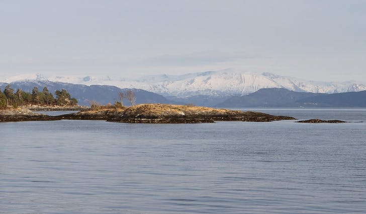 Rogamelen på Ytterøy. (Ill. foto: Kjetil Vasby Bruarøy)