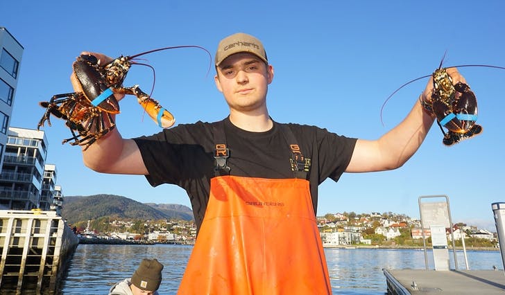 Lauritz Lekven lengtar tilbake til Alaska, men liker seg òg heime på hummarfiske. I bakgrunnen kameraten Sivert. (Foto: Kjetil Vasby Bruarøy)