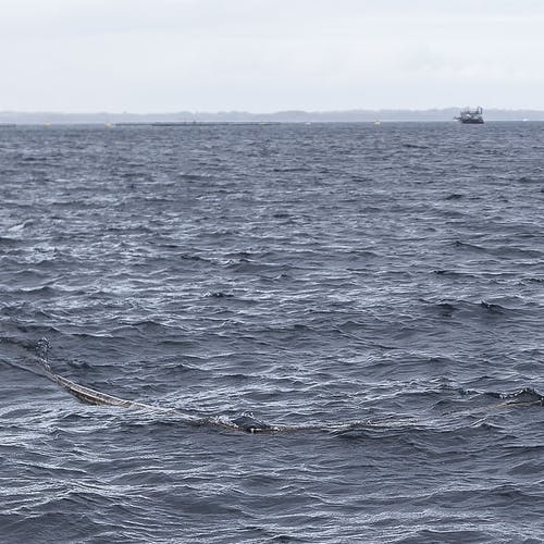 I februar blei ein fritidsbåt skadd av dette plastrøret. (Foto: Oddmund Lunde)