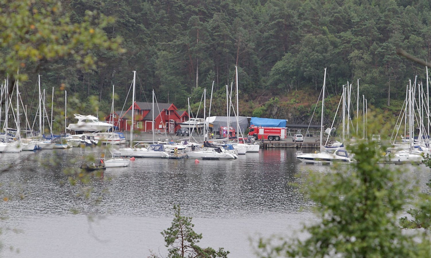 Kvernevika ligg på Strøno, nær Strønebrua. (Foto: Kjetil Vasby Bruarøy)