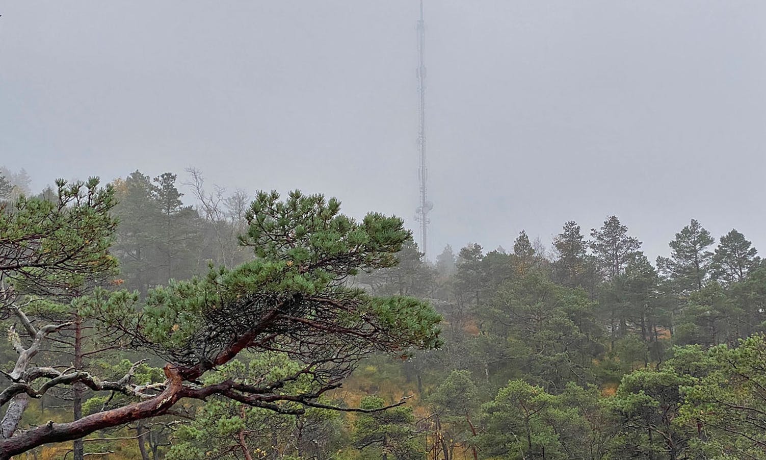 Etterkvart får du masta på Borgafjellet i syne til høgre. (Foto: KOG)