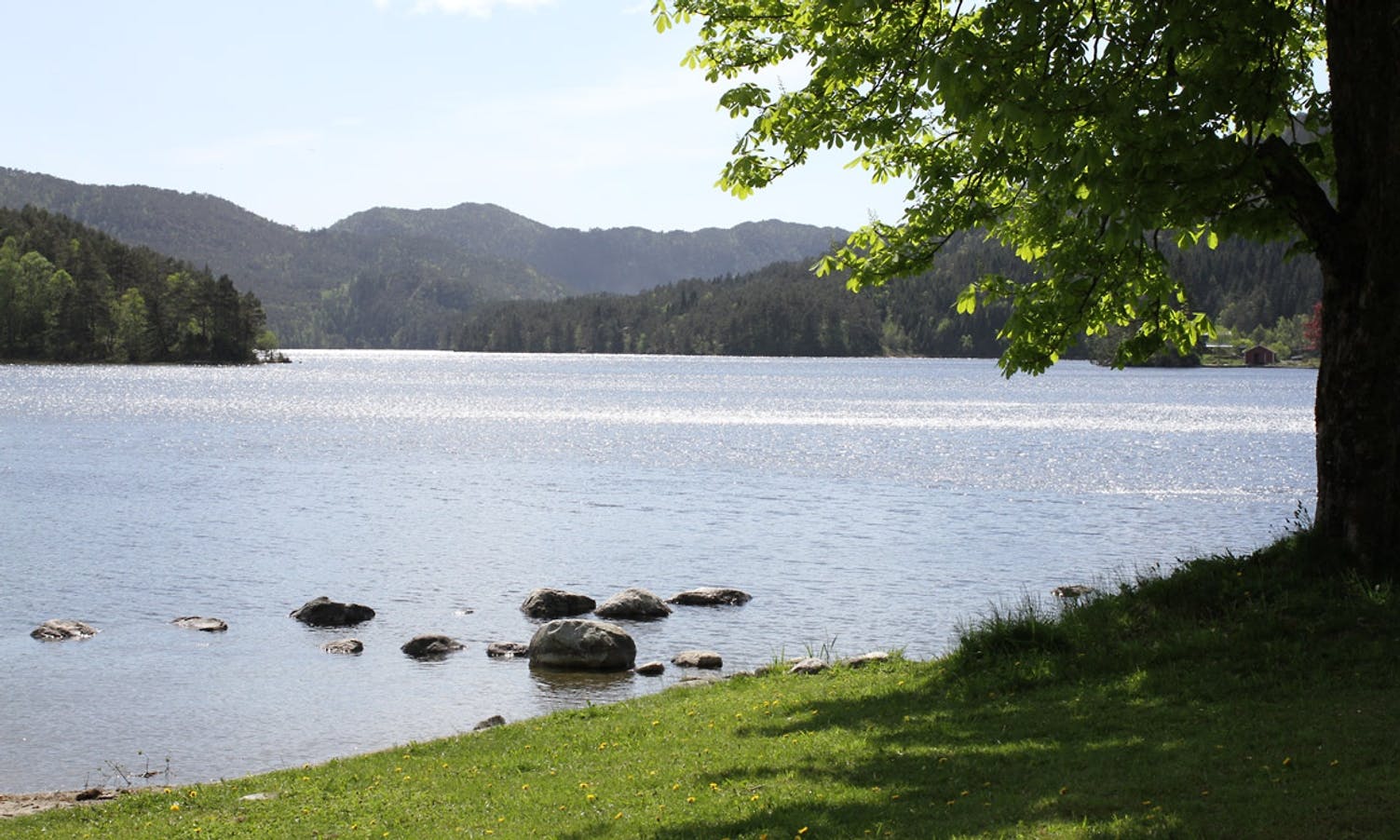 Padlemiljøet i Bergen vil greia ut anlegg i Vinddalsvatnet
