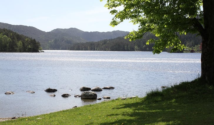 Vinddalsvatnet sett frå Søfteland retning Endelausmarka. (Arkivbilde, foto: Bjørn Arne Braathen)