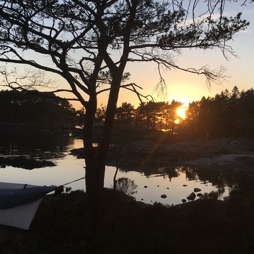 Bilder tatt fra camping i hengekøye i Ervikane. (Foto: Anita)