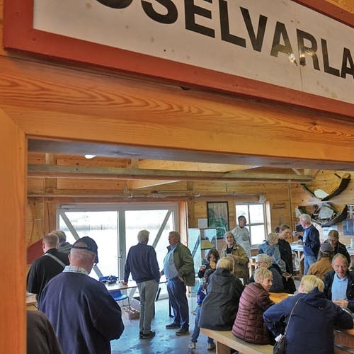 Oselvarfestivalen 2019. (Foto: KOG)