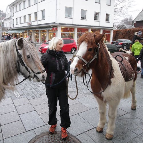 Hestar frå Hegglandsdalen tok ungar på tur i helga. (Foto: KVB)
